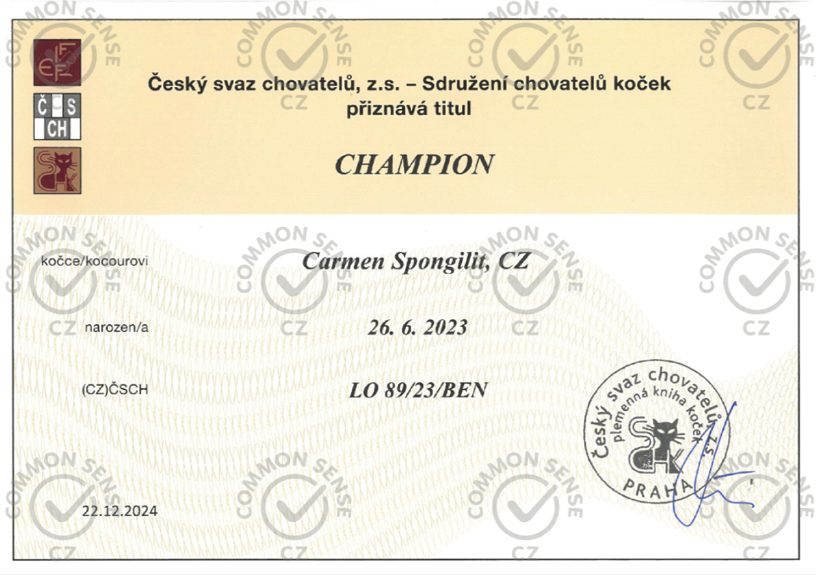 Carmen Spongilit, CZ 1